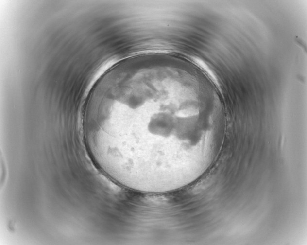 X0000093251243200710241308