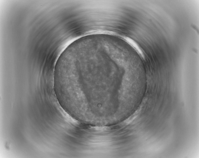 X0000093251244200710241308