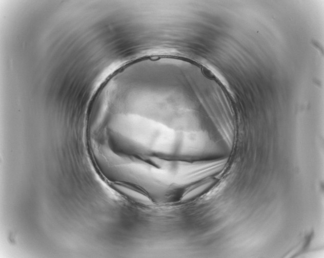 X0000093251245200710241308