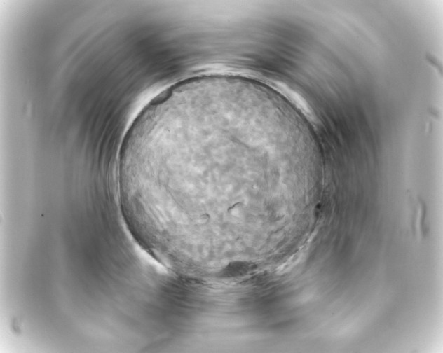 X0000093251247200710241308