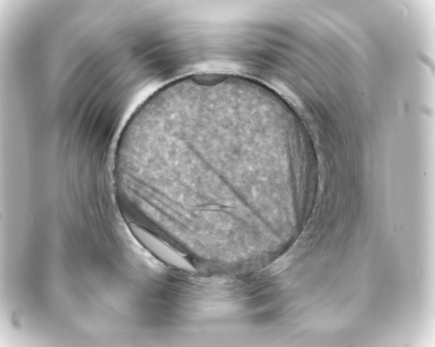 X0000093251248200710241308