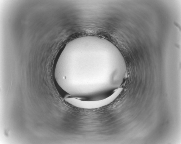 X0000093251249200710241308