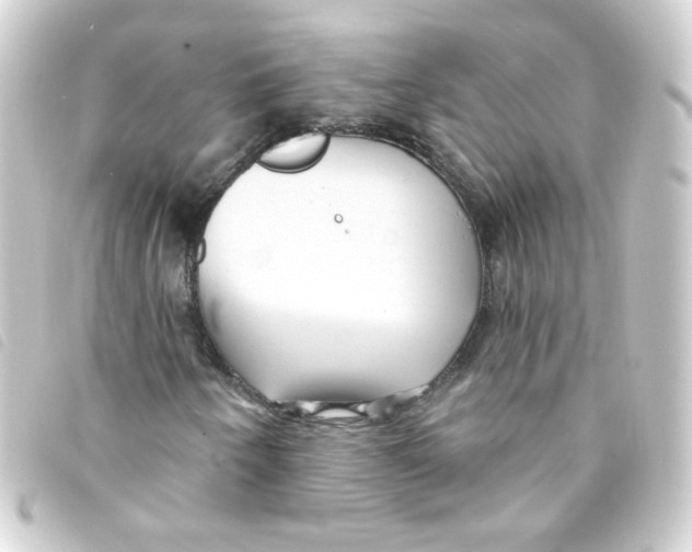 X0000093251250200710241308