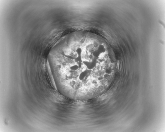 X0000093251251200710241308