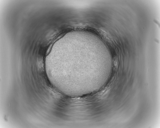 X0000093251252200710241308