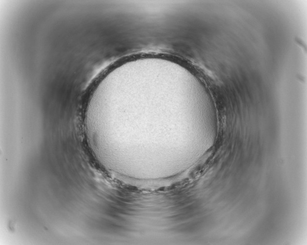 X0000093251256200710241307