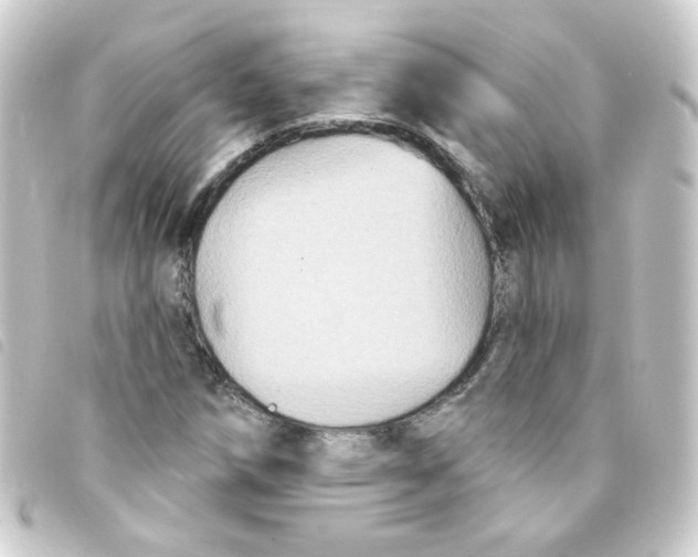 X0000093251258200710241307