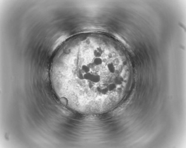 X0000093251259200710241307