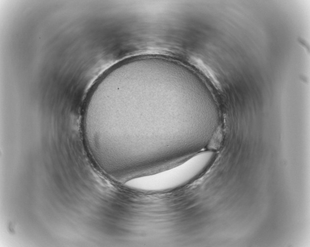 X0000093251260200710241307