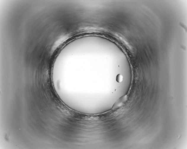 X0000093251261200710241307