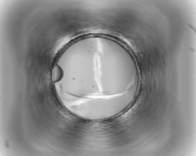 X0000093251263200710241307