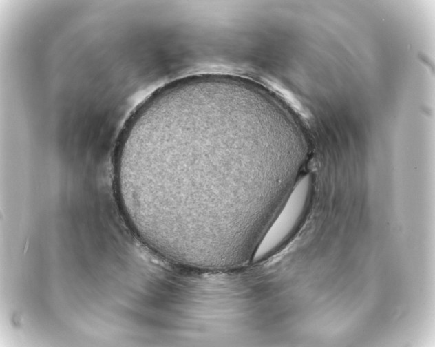 X0000093251264200710241307