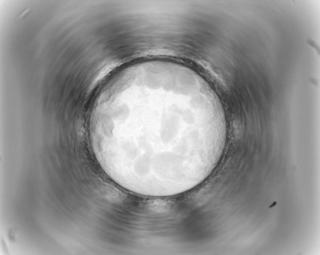 X0000093251266200710241307