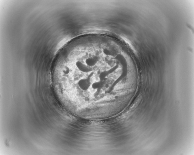 X0000093251267200710241307