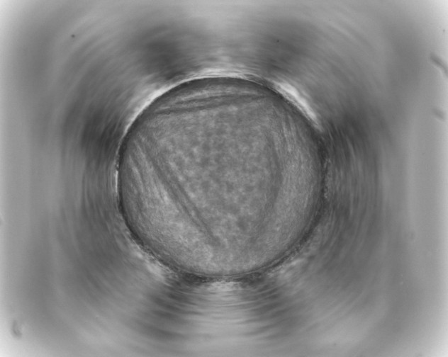 X0000093251268200710241307