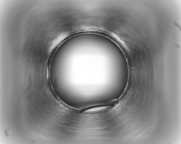 X0000093251269200710241307