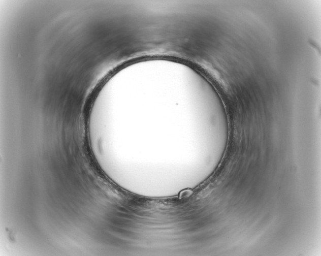 X0000093251270200710241307