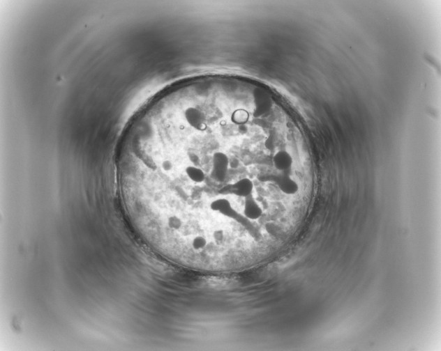 X0000093251271200710241307