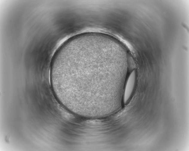 X0000093251272200710241307