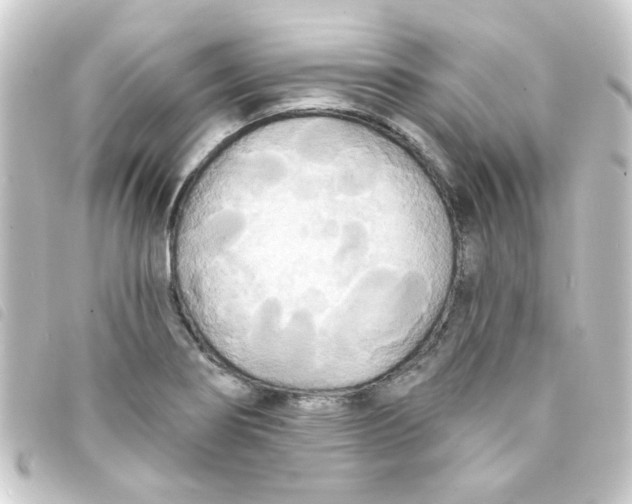 X0000093251274200710241307