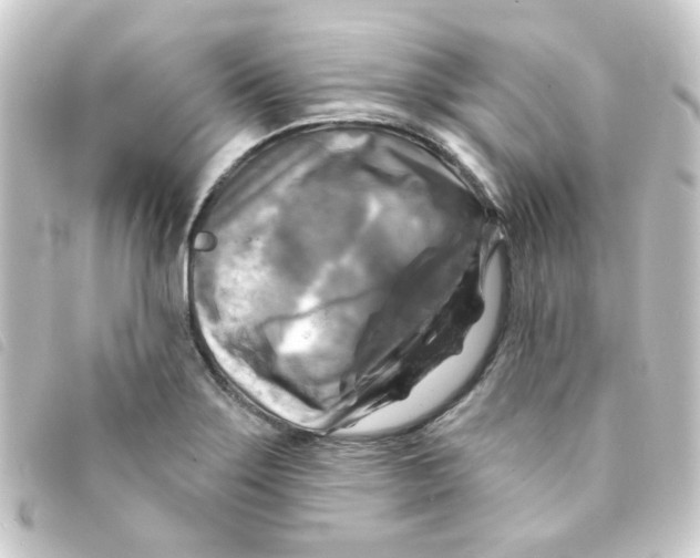 X0000093251275200710241307