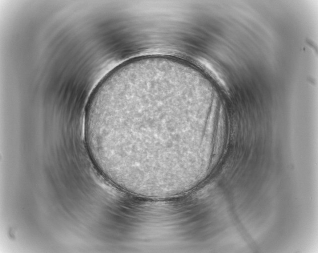 X0000093251276200710241307