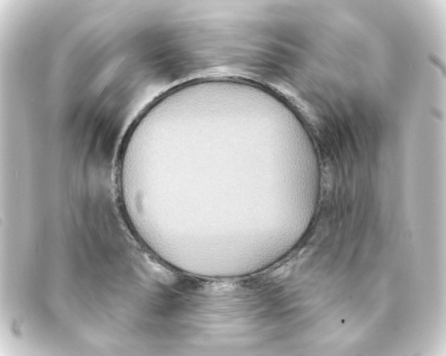 X0000093251278200710241307