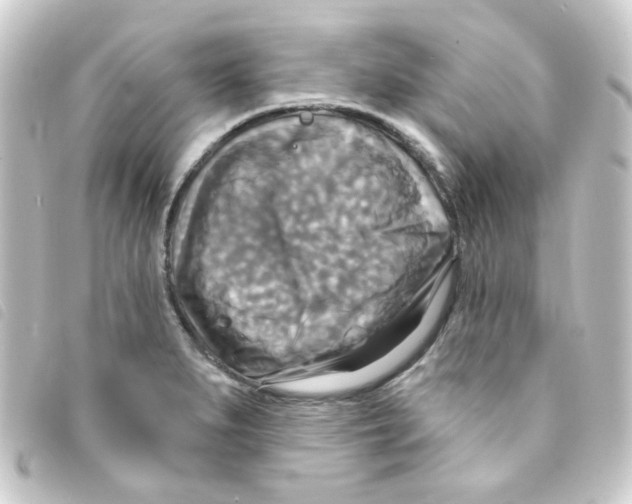 X0000093251279200710241307