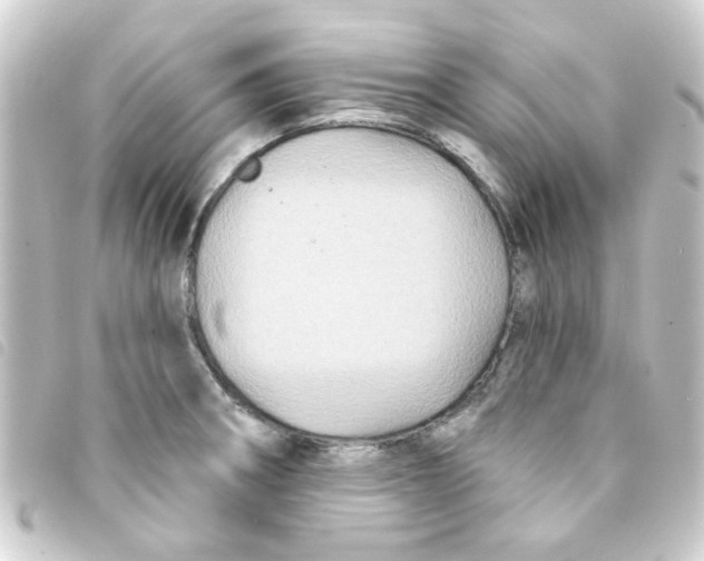 X0000093251282200710241307