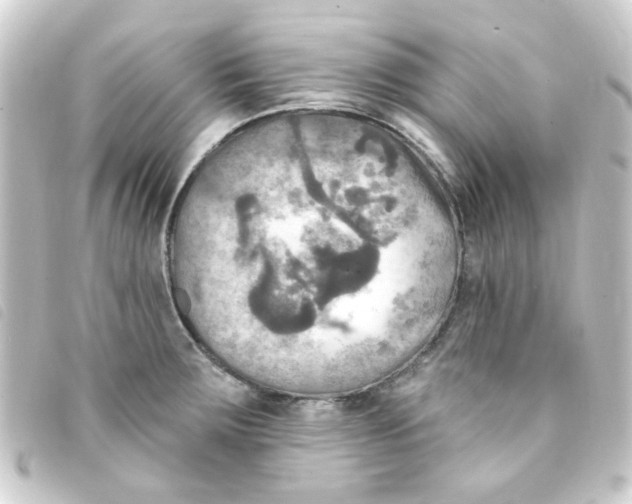 X0000093251283200710241307