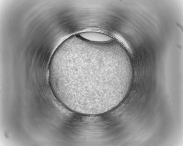 X0000093251284200710241307