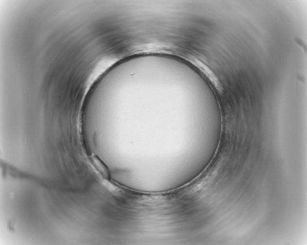 X0000093251285200710241307