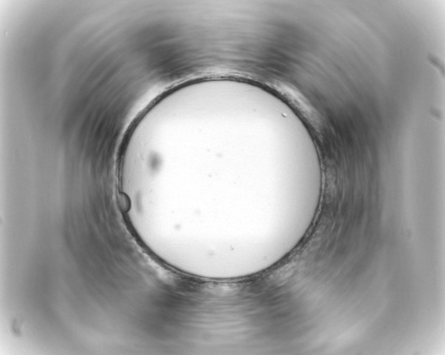 X0000093251286200710241307