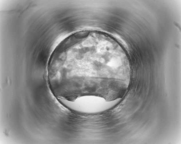 X0000093251287200710241307