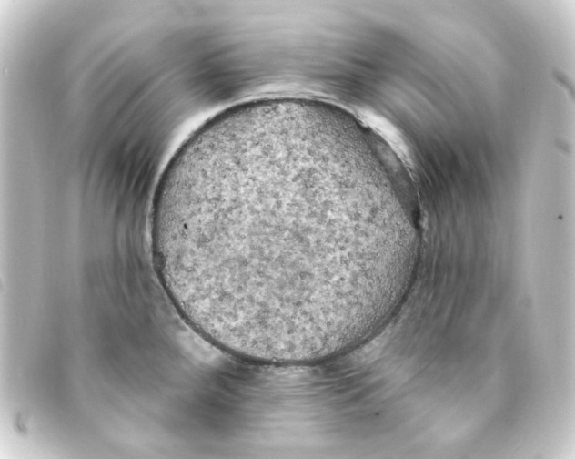 X0000093251288200710241307