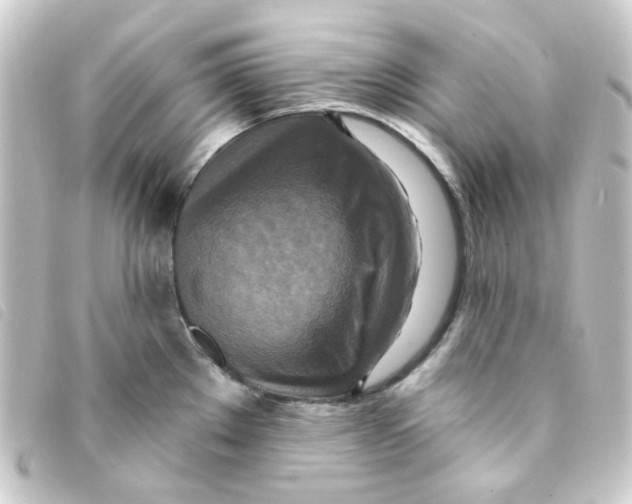 X0000093251289200710241307