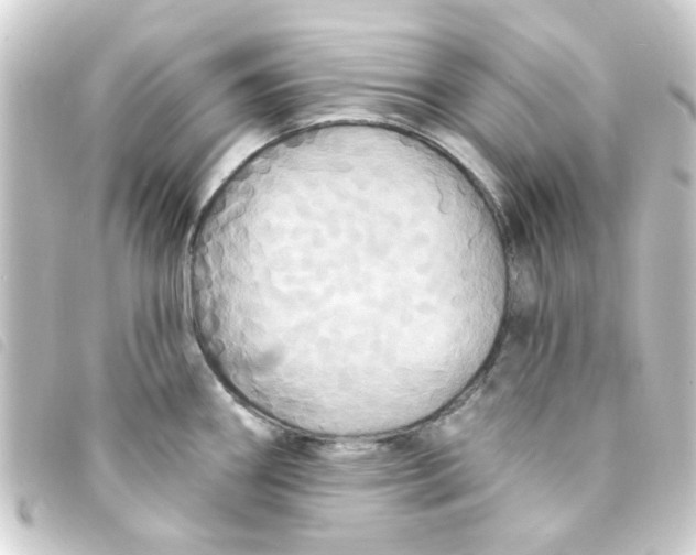 X0000093251290200710241307