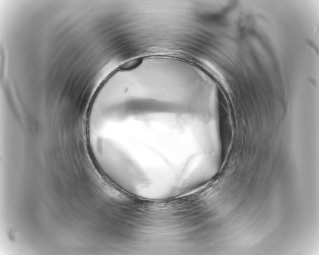 X0000093251291200710241307