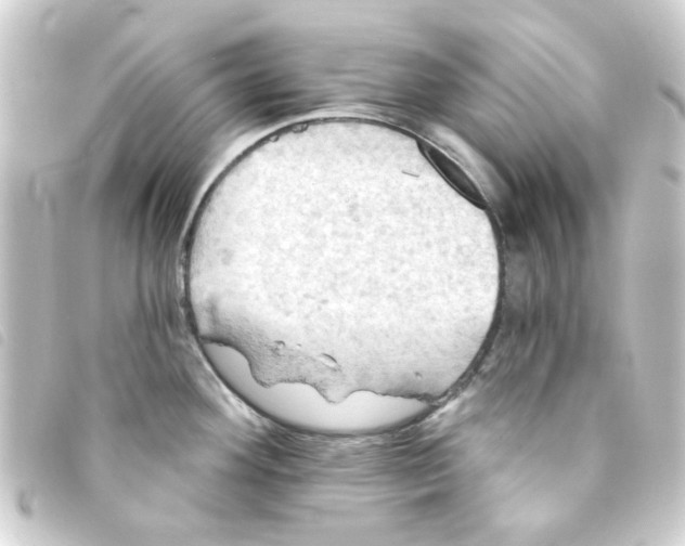 X0000093251292200710241307