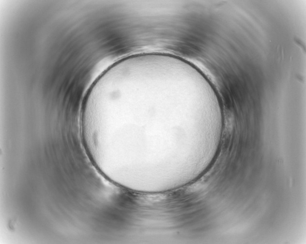 X0000093251294200710241307