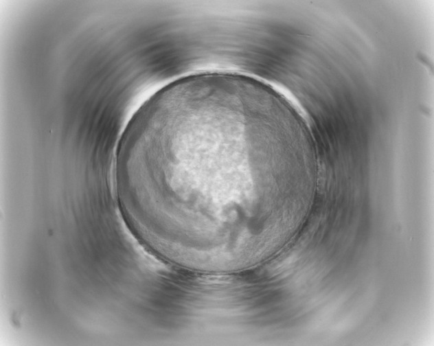 X0000093251295200710241307