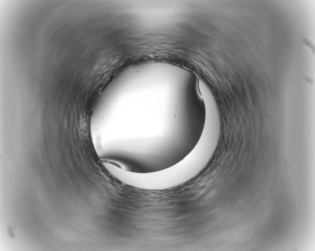 X0000093251298200710241306