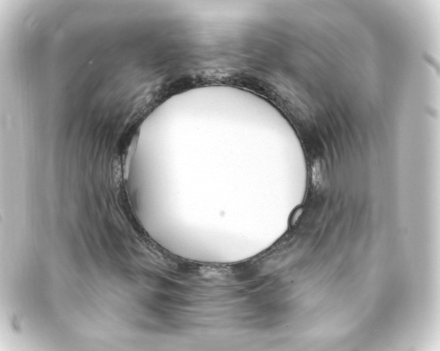 X0000093251299200710241306