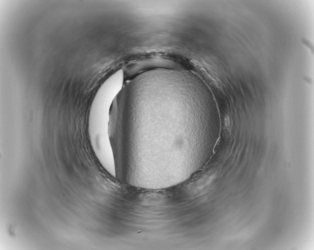 X0000093251300200710241306