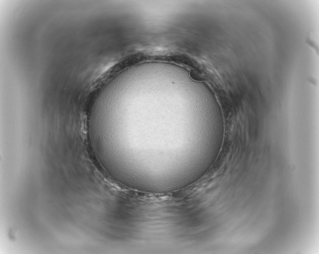 X0000093251301200710241306