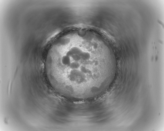 X0000093251302200710241306