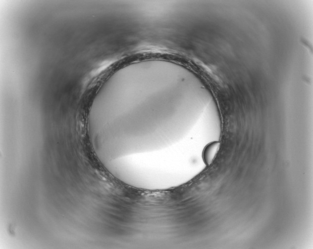 X0000093251303200710241307