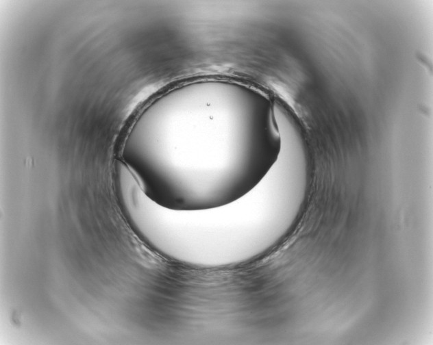 X0000093251308200710241307