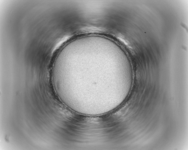 X0000093251309200710241307