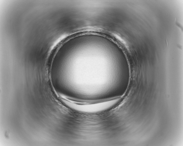 X0000093251310200710241307